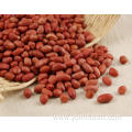 Dry Groundnut Benefits